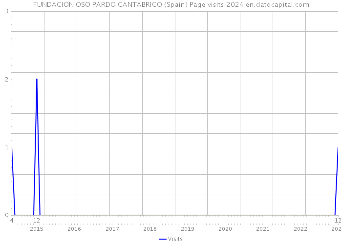 FUNDACION OSO PARDO CANTABRICO (Spain) Page visits 2024 