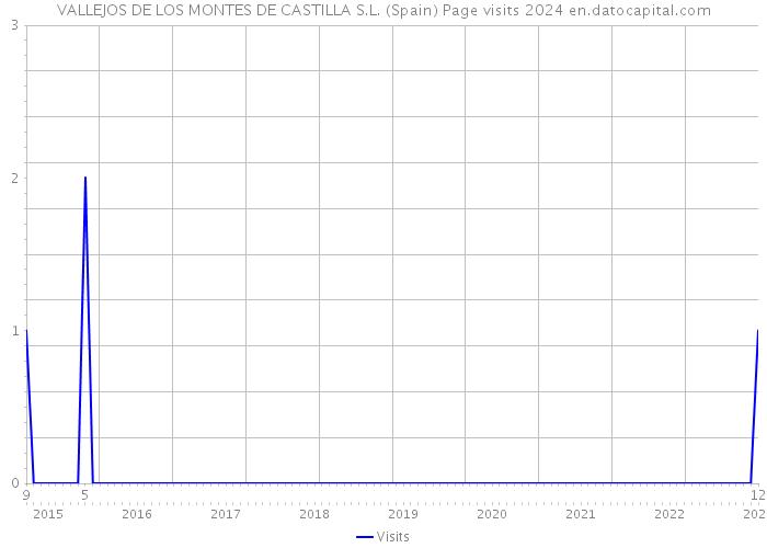 VALLEJOS DE LOS MONTES DE CASTILLA S.L. (Spain) Page visits 2024 
