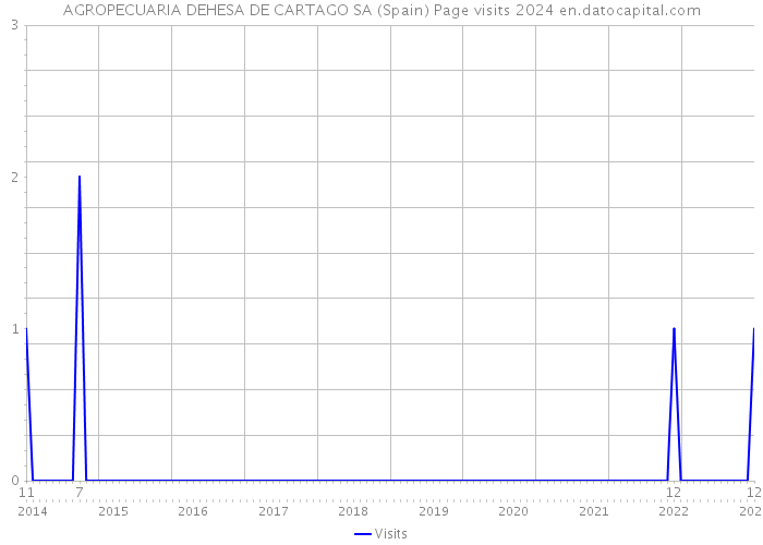 AGROPECUARIA DEHESA DE CARTAGO SA (Spain) Page visits 2024 