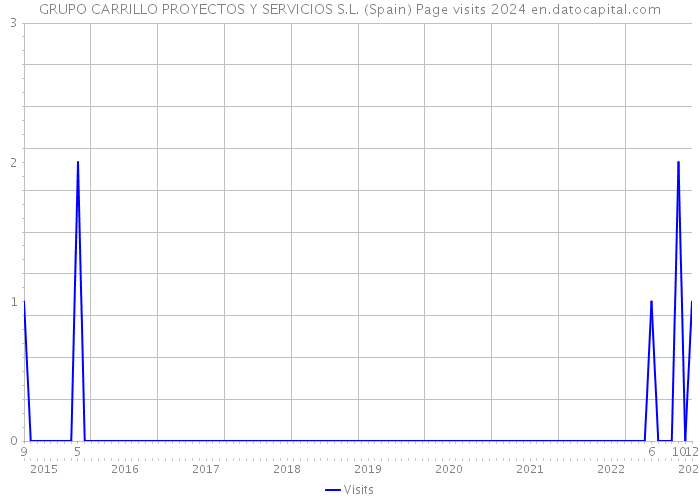 GRUPO CARRILLO PROYECTOS Y SERVICIOS S.L. (Spain) Page visits 2024 