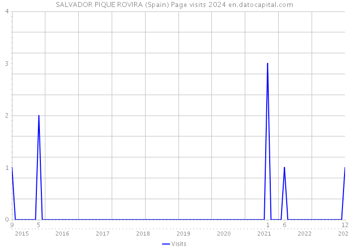 SALVADOR PIQUE ROVIRA (Spain) Page visits 2024 