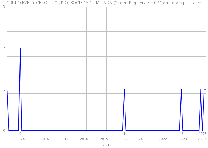 GRUPO EVERY CERO UNO UNO, SOCIEDAD LIMITADA (Spain) Page visits 2024 