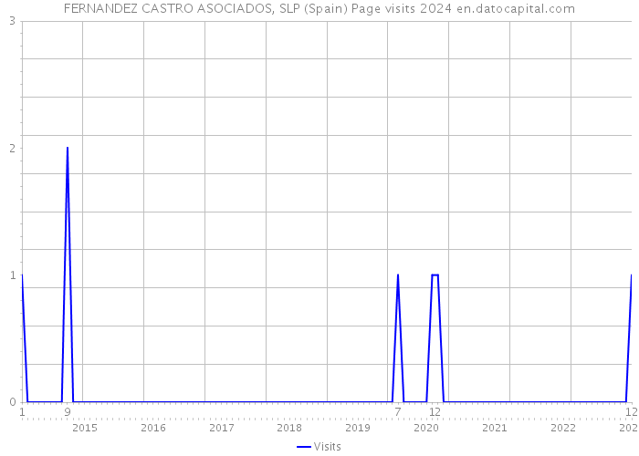 FERNANDEZ CASTRO ASOCIADOS, SLP (Spain) Page visits 2024 