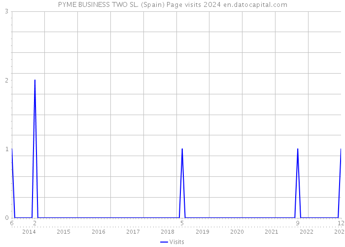 PYME BUSINESS TWO SL. (Spain) Page visits 2024 