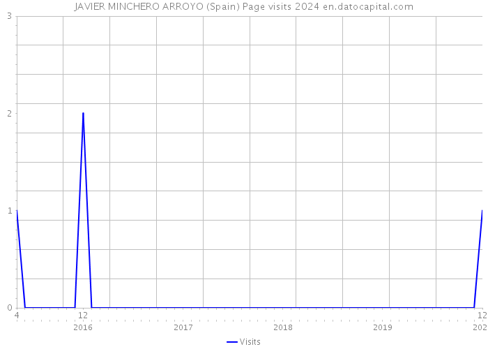 JAVIER MINCHERO ARROYO (Spain) Page visits 2024 