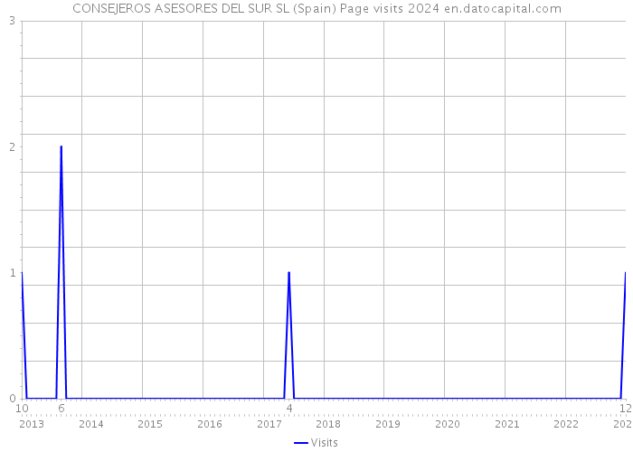CONSEJEROS ASESORES DEL SUR SL (Spain) Page visits 2024 
