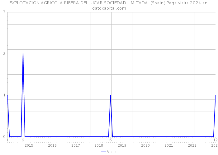 EXPLOTACION AGRICOLA RIBERA DEL JUCAR SOCIEDAD LIMITADA. (Spain) Page visits 2024 