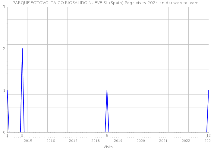 PARQUE FOTOVOLTAICO RIOSALIDO NUEVE SL (Spain) Page visits 2024 