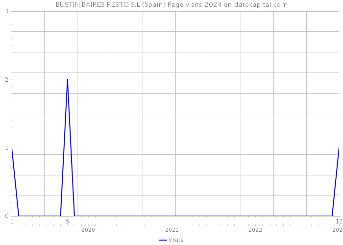 BUSTIN BAIRES RESTO S.L (Spain) Page visits 2024 
