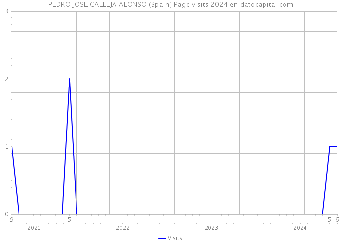 PEDRO JOSE CALLEJA ALONSO (Spain) Page visits 2024 