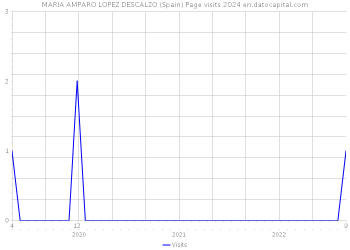 MARIA AMPARO LOPEZ DESCALZO (Spain) Page visits 2024 