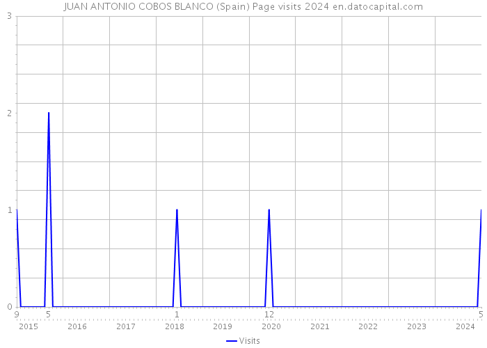 JUAN ANTONIO COBOS BLANCO (Spain) Page visits 2024 