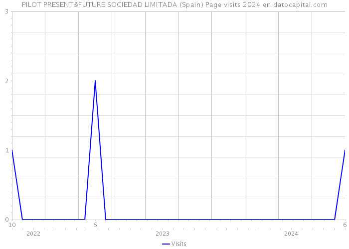 PILOT PRESENT&FUTURE SOCIEDAD LIMITADA (Spain) Page visits 2024 