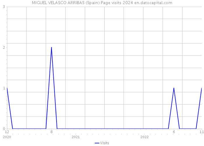 MIGUEL VELASCO ARRIBAS (Spain) Page visits 2024 