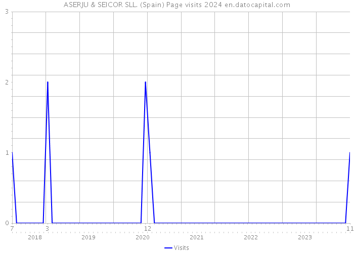 ASERJU & SEICOR SLL. (Spain) Page visits 2024 