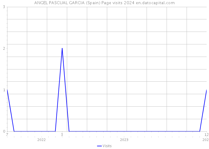 ANGEL PASCUAL GARCIA (Spain) Page visits 2024 