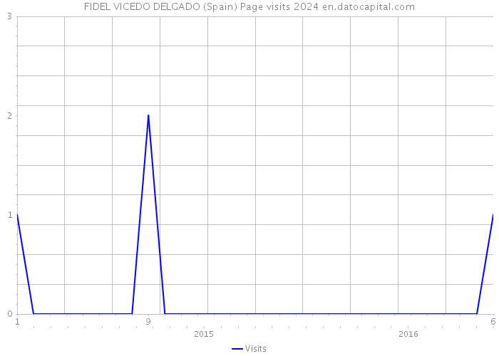 FIDEL VICEDO DELGADO (Spain) Page visits 2024 