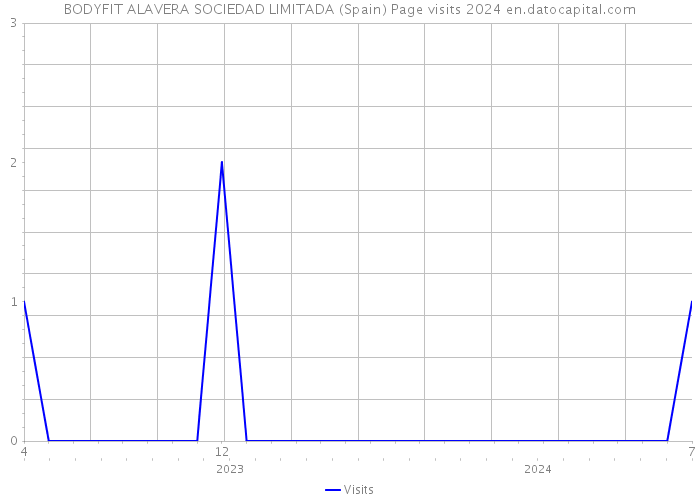 BODYFIT ALAVERA SOCIEDAD LIMITADA (Spain) Page visits 2024 