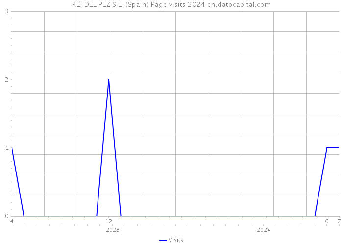 REI DEL PEZ S.L. (Spain) Page visits 2024 