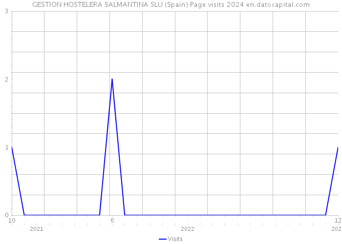 GESTION HOSTELERA SALMANTINA SLU (Spain) Page visits 2024 