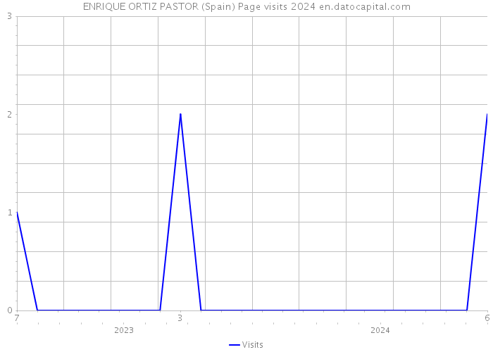 ENRIQUE ORTIZ PASTOR (Spain) Page visits 2024 