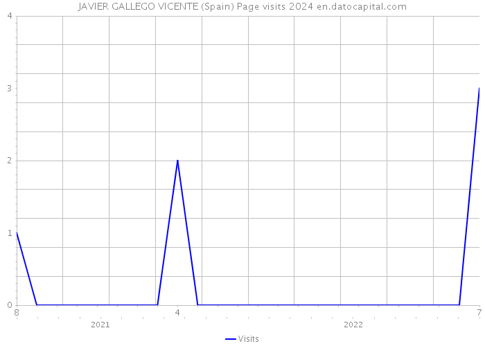 JAVIER GALLEGO VICENTE (Spain) Page visits 2024 