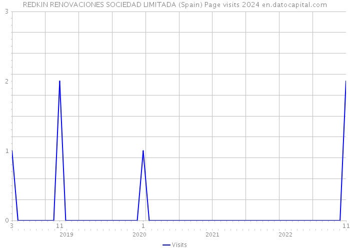 REDKIN RENOVACIONES SOCIEDAD LIMITADA (Spain) Page visits 2024 
