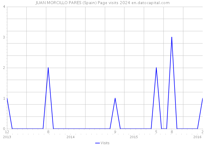 JUAN MORCILLO PARES (Spain) Page visits 2024 