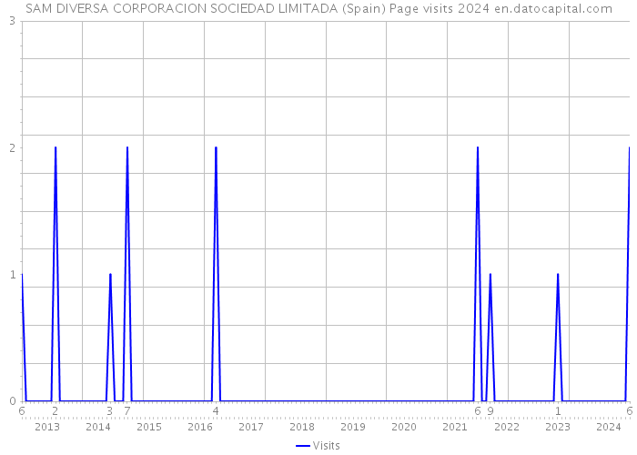 SAM DIVERSA CORPORACION SOCIEDAD LIMITADA (Spain) Page visits 2024 