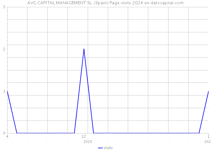 AVG CAPITAL MANAGEMENT SL. (Spain) Page visits 2024 