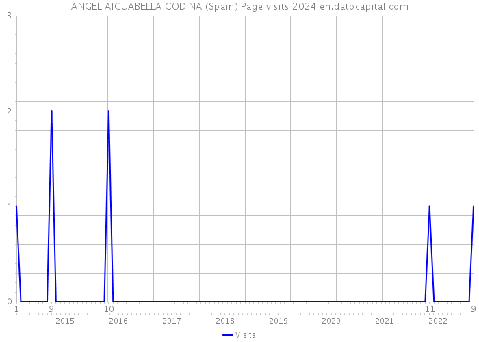 ANGEL AIGUABELLA CODINA (Spain) Page visits 2024 
