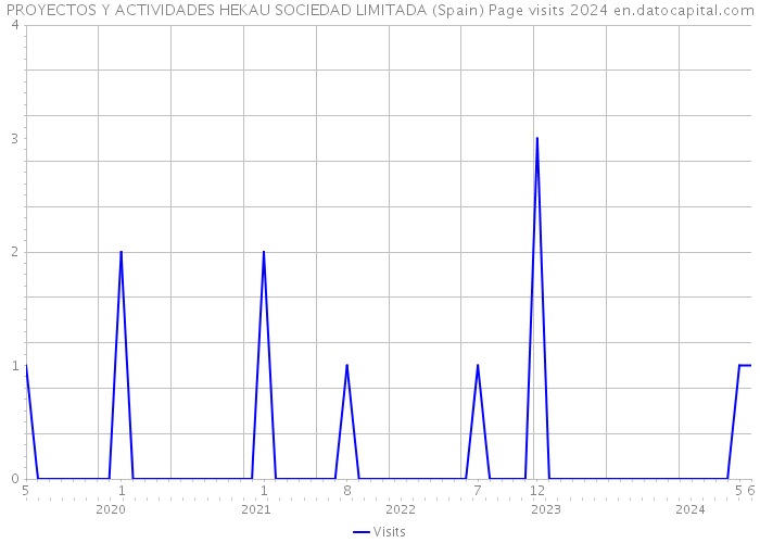 PROYECTOS Y ACTIVIDADES HEKAU SOCIEDAD LIMITADA (Spain) Page visits 2024 