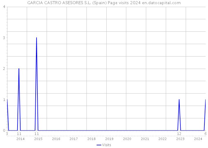 GARCIA CASTRO ASESORES S.L. (Spain) Page visits 2024 