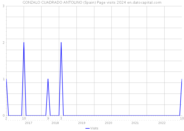 GONZALO CUADRADO ANTOLINO (Spain) Page visits 2024 