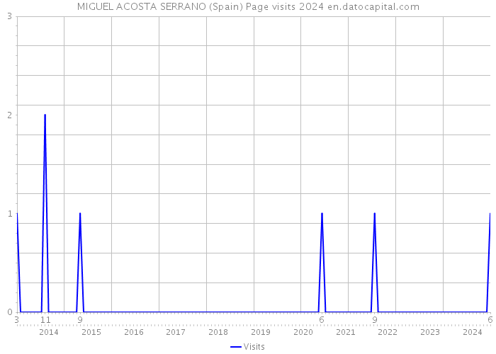 MIGUEL ACOSTA SERRANO (Spain) Page visits 2024 