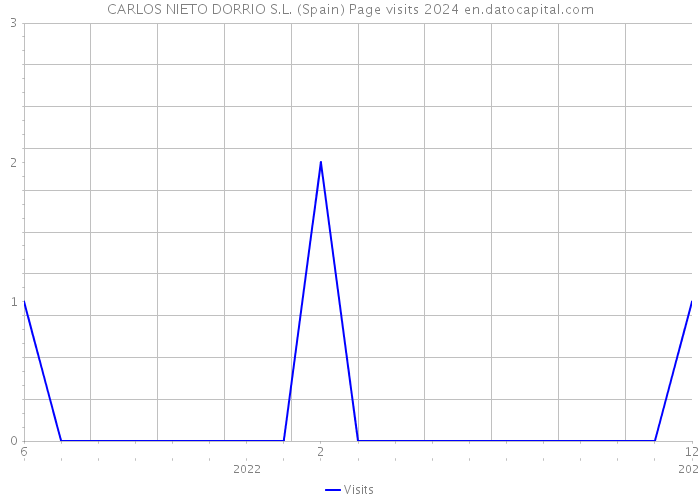 CARLOS NIETO DORRIO S.L. (Spain) Page visits 2024 