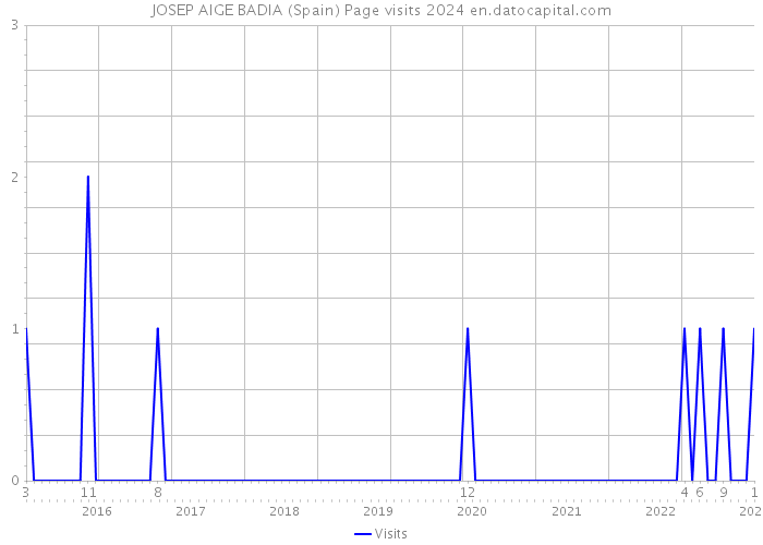 JOSEP AIGE BADIA (Spain) Page visits 2024 