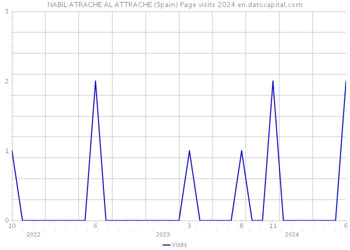 NABIL ATRACHE AL ATTRACHE (Spain) Page visits 2024 