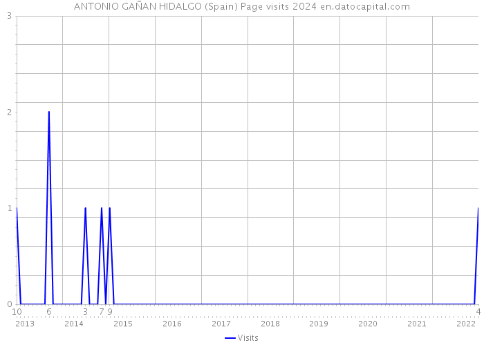 ANTONIO GAÑAN HIDALGO (Spain) Page visits 2024 