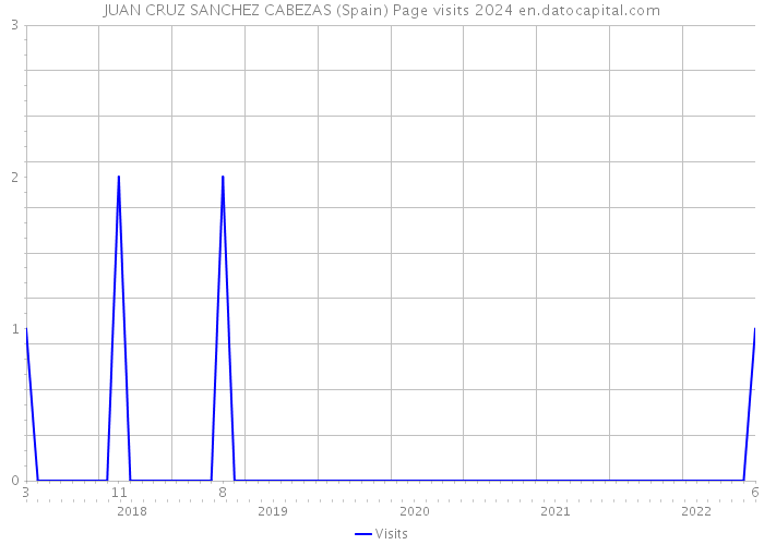 JUAN CRUZ SANCHEZ CABEZAS (Spain) Page visits 2024 