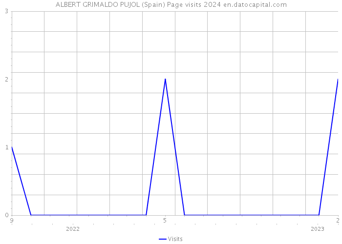 ALBERT GRIMALDO PUJOL (Spain) Page visits 2024 