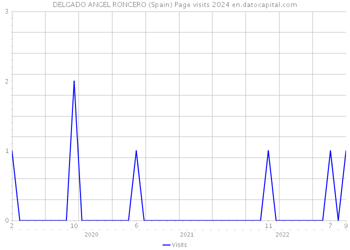 DELGADO ANGEL RONCERO (Spain) Page visits 2024 