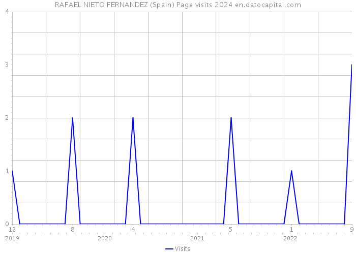 RAFAEL NIETO FERNANDEZ (Spain) Page visits 2024 