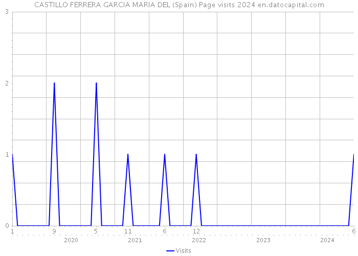 CASTILLO FERRERA GARCIA MARIA DEL (Spain) Page visits 2024 