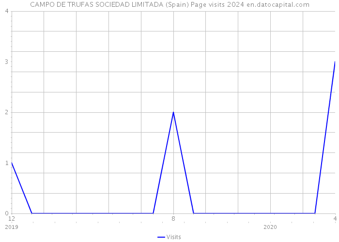 CAMPO DE TRUFAS SOCIEDAD LIMITADA (Spain) Page visits 2024 