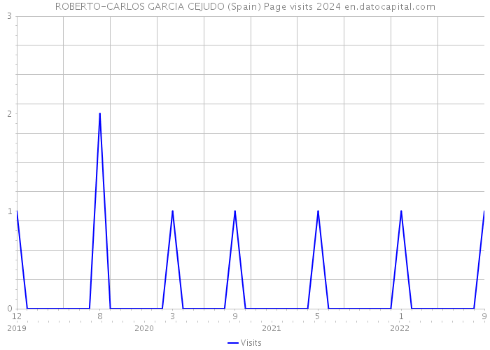 ROBERTO-CARLOS GARCIA CEJUDO (Spain) Page visits 2024 