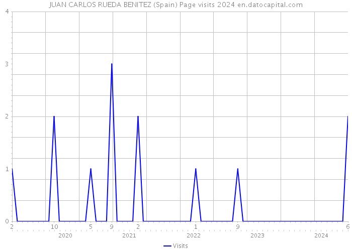 JUAN CARLOS RUEDA BENITEZ (Spain) Page visits 2024 