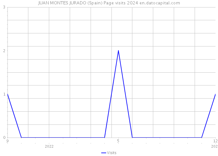 JUAN MONTES JURADO (Spain) Page visits 2024 