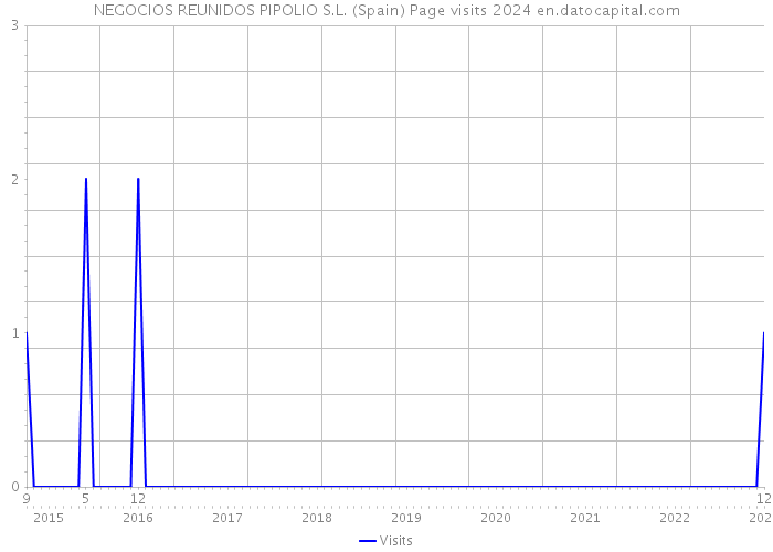 NEGOCIOS REUNIDOS PIPOLIO S.L. (Spain) Page visits 2024 