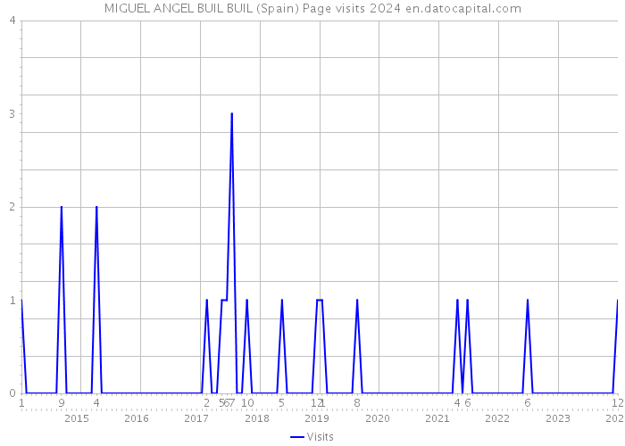 MIGUEL ANGEL BUIL BUIL (Spain) Page visits 2024 